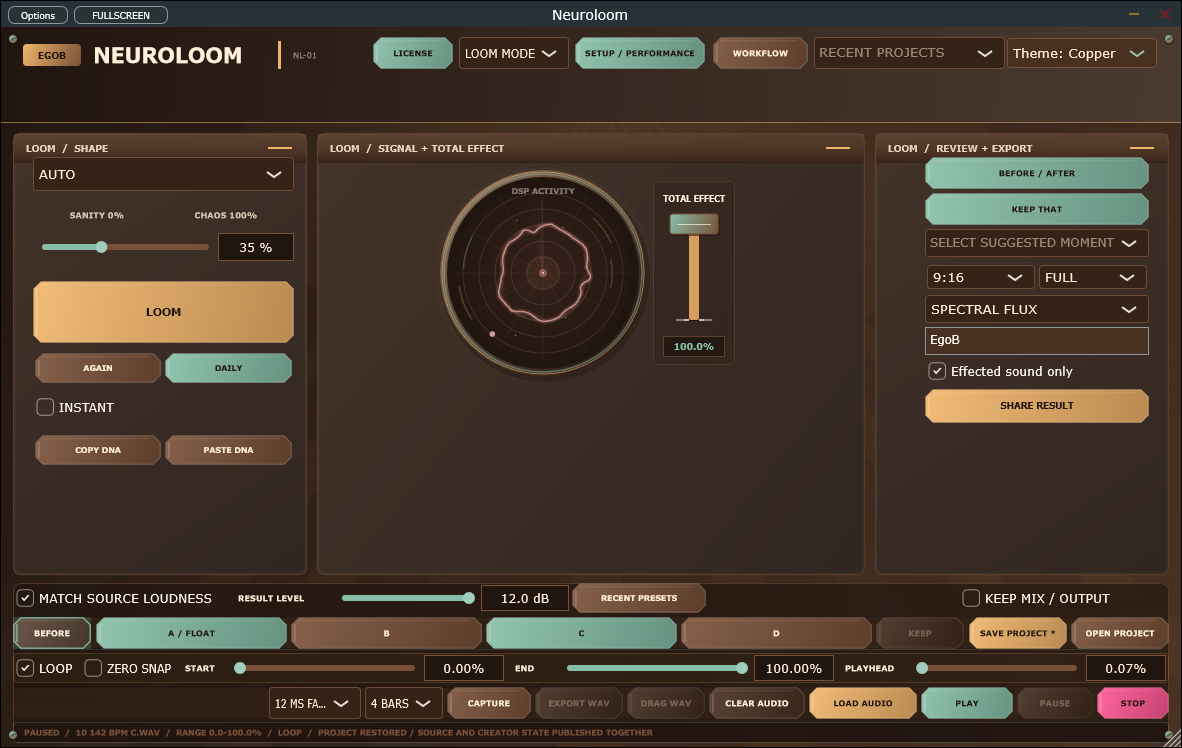 NeuroLoom 2.13.3 standalone interface on Windows.