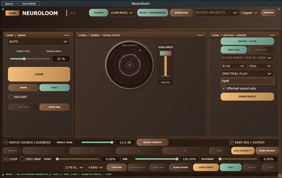NeuroLoom 3.1.6 standalone interface on Windows.