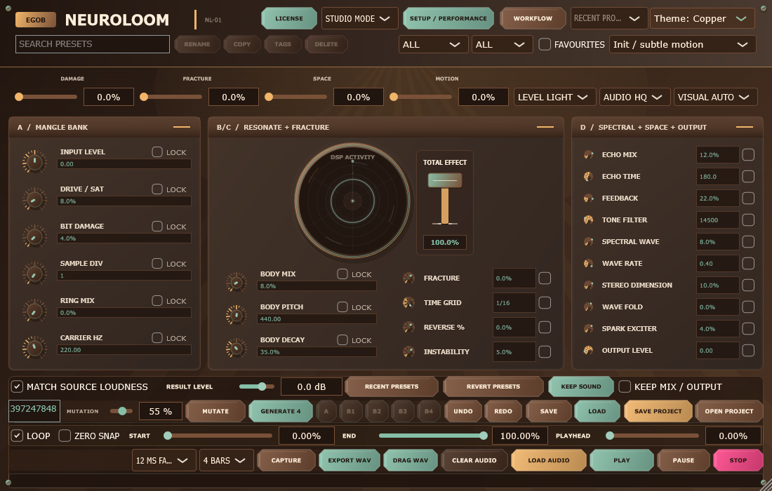 NeuroLoom 2.13.0 Windows Studio
