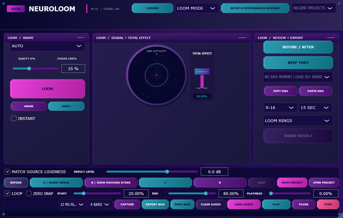 NeuroLoom 2.12.1 Windows interface