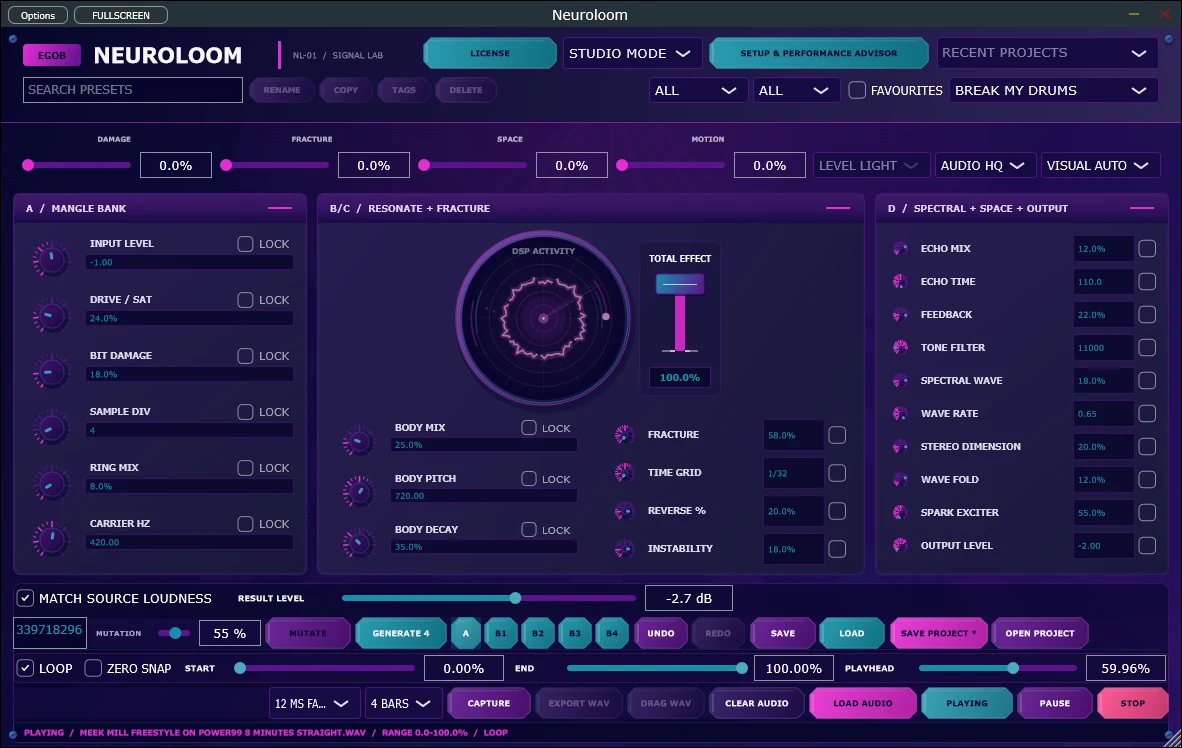 NeuroLoom interface