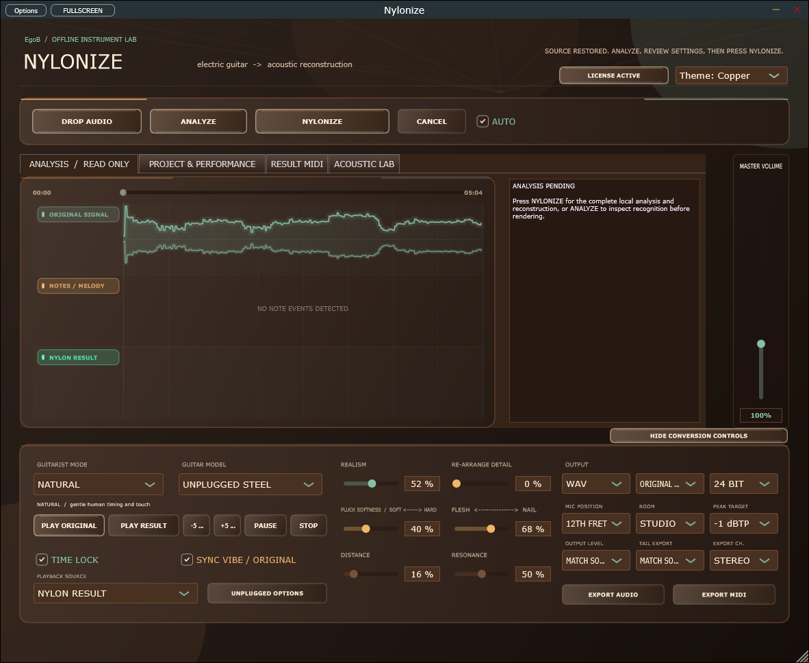 Nylonize 1.26.0 Windows workspace with a restored source awaiting analysis